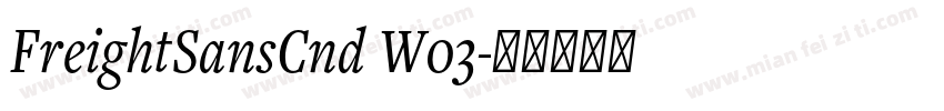 FreightSansCnd W03字体转换